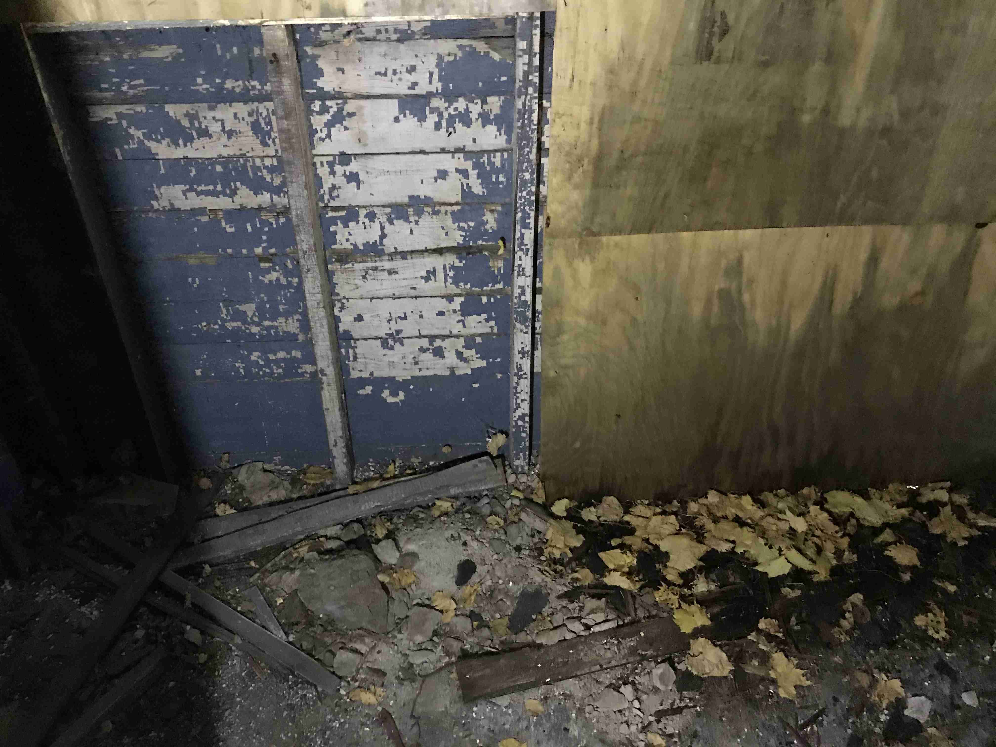 Photo Oct 13, 3 48 03 PM.jpg